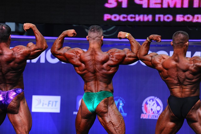 决的上诉 决的上诉